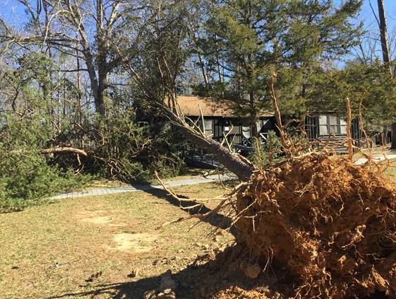 Nearly three weeks after a March 2-3 windstorm damaged and closed Prince William Forest Park in Northern Virginia, the National Park Service announced Friday that the park will reopen to the public in its entirety on Monday. (Courtesy National Park Service)