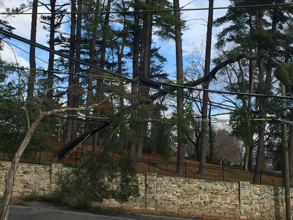 A pine tree hanging over Baltimore Road in Rockville, Maryland. Power crews were responding to the incident and had to move quickly when the tree started to topple. (WTOP/John Domen)