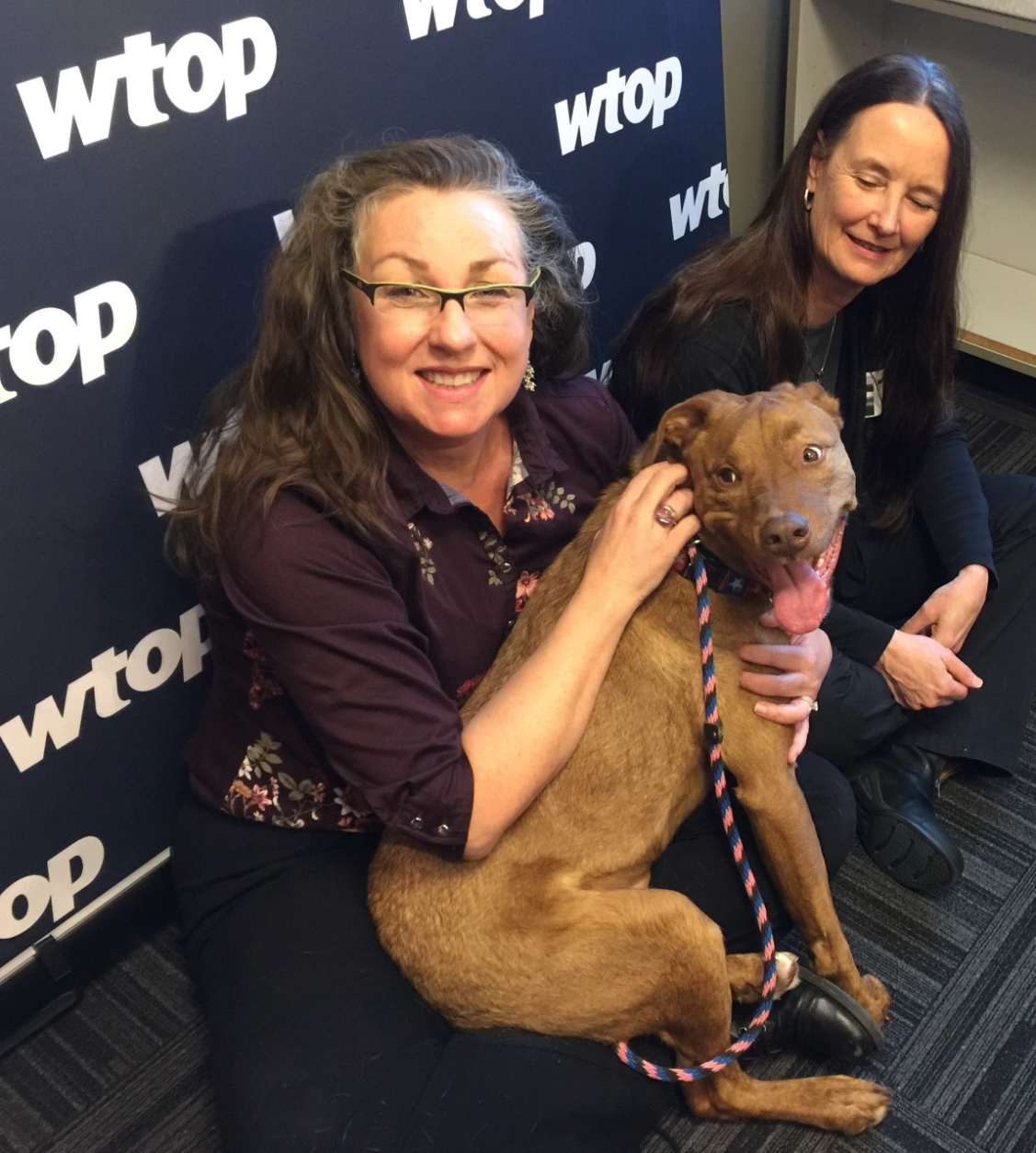 WTOP's Kristi King with Niko and Dr. Leslie Sinn. (Photo courtesy Jill Collins)
