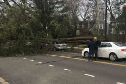 A downed tree blocks traffic on New Mexico Avenue by American University (Courtesy Christian Paolini via Twitter)