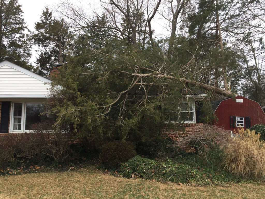 A downed tree on top of a home in the Hollin Hills area of Fairfax. (WTOP/Kristi King)
