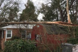 A downed tree on top of a home in the Hollin Hills area of Fairfax. (WTOP/Kristi King)