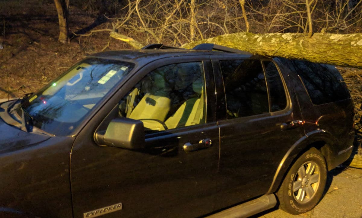 A tree is down, completely blocking the 4200 block of Massachusetts Avenue NW by Embassy Park Drive. It took out a couple of cars in the process.
 (WTOP/Brandon Millman)