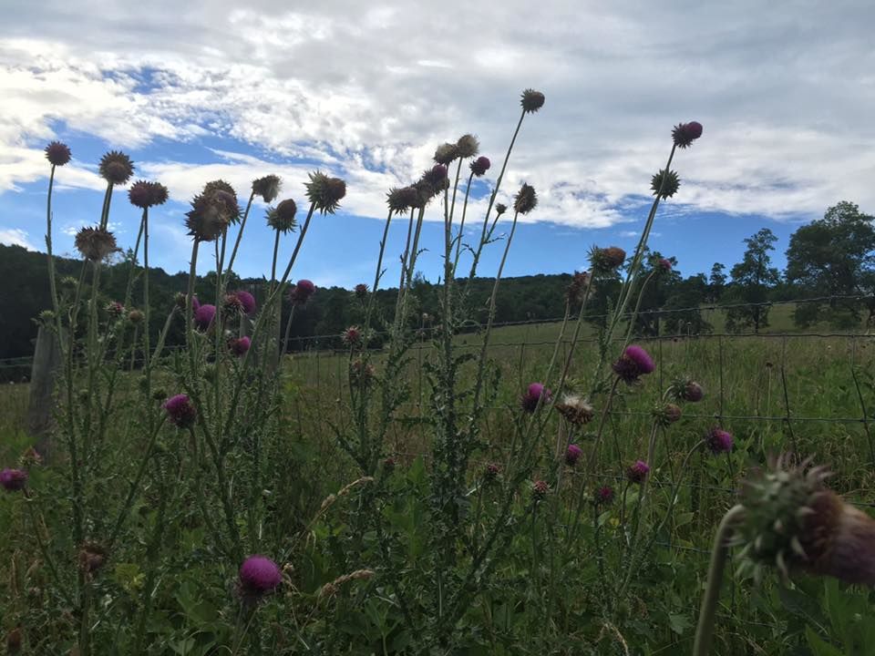 Why wealthy Loudoun County wants more affordable housing WTOP News