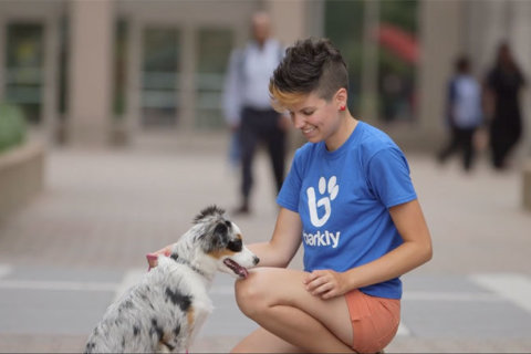 DC based dog walking app Barkly Pets wins $10K Purina prize