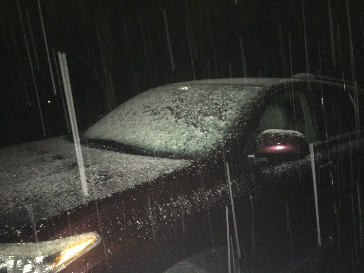Snow in West Springfield, Virginia. (Courtesy Carol Brown) 