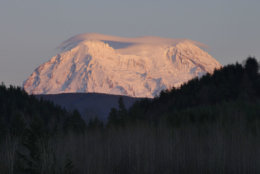FILE -This Jan. 8, 2012 file photo shows Mount Rainier taking on a rosy glow near sunset as viewed from Eatonville, Wash. Mount Rainier National Park managers will try to maintain daily access to the park’s most popular winter destination. There is a sledding area, snowshoeing, snow camping, skiing and snowboarding and a visitor center at Paradise. People visiting Paradise should leave no later than 4:30 p.m. PST to give themselves enough time to safely drive down to Longmire, and sooner if road conditions are not optimal. (AP Photo/Ted S. Warren, File)