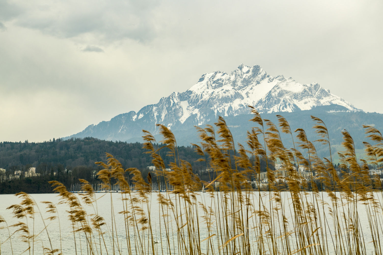 Mount Pilatus behind the lake Lucerne, Switzerland