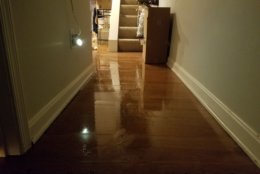 Basement apartments in the District are flooding. (WTOP/Will Vitka)