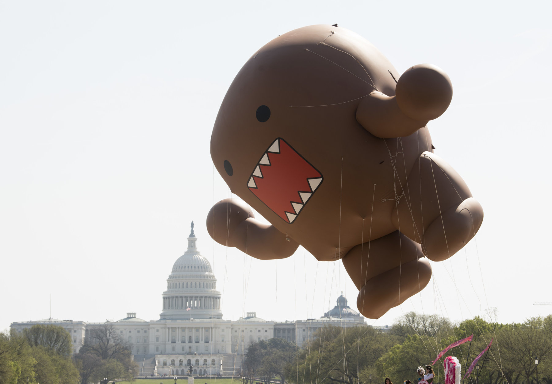 IMAGE DISTRIBUTED NHK WORLD - NHK WORLD-JAPAN's mascot, Domo, floats above the U.S. Capitol at the start of the National Cherry Blossom Festival Parade on Saturday, April 14, 2018 in Washington. (Kevin Wolf/AP Images for NHK World)