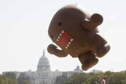 IMAGE DISTRIBUTED NHK WORLD - NHK WORLD-JAPAN's mascot, Domo, floats above the U.S. Capitol at the start of the National Cherry Blossom Festival Parade on Saturday, April 14, 2018 in Washington. (Kevin Wolf/AP Images for NHK World)