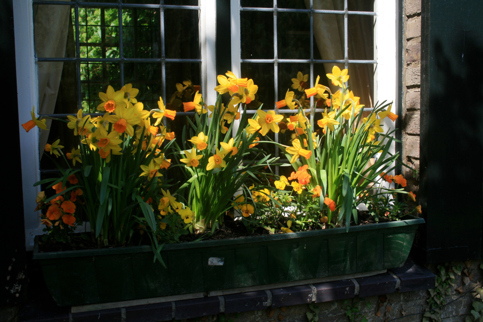 This April 20, 2009 photo shows tall and small flowers that complement one another in this springtime window box assortment in Belgium. This homeowner in the Belgian countryside refreshes her plant selection with the change in seasons. Window boxes are convenient containers that provide color, deliver edibles and supply fragrances. (AP Photo/Dean Fosdick)