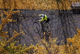 A bicyclist rides on the beginning of the 150.5 mile Great Allegheny Passage that runs between downtown Pittsburgh and Cumberland, Md., Thursday, Nov. 12, 2015. Combined with the C@O Canal Towpath, that begins in Cumberland, Md., they are a 334.5 mile ride between Pittsburgh and Georgetown in Washington D.C. (AP Photo/Gene J. Puskar)