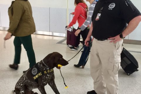 TSA is 20 years old, and BWI Marshall plays a big role in its history