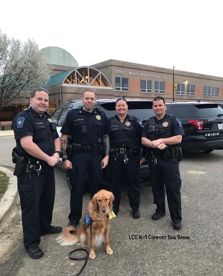 Comfort dogs from Lutheran Church Charities, in Illinois, met with first responders before classes began at Great Mills High School. (Courtesy Lutheran Church Charities)