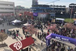 Nationals Stadium in Southeast D.C. was crowded Sunday morning, not for a ball game, but for the March for Babies. (WTOP/Melissa Howell)