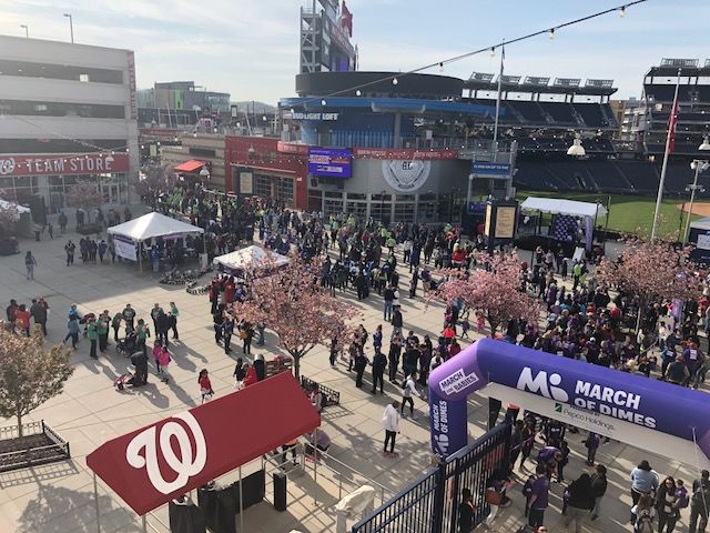 Nationals Stadium in Southeast D.C. was crowded Sunday morning, not for a ball game, but for the March for Babies. (WTOP/Melissa Howell)