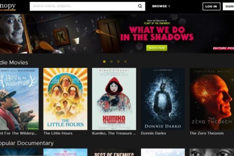 DC Public Library rolls out new movie streaming service