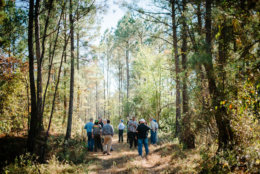 ASHDOWN, AR, United States - OCTOBER 28: FSC Landowner Learning Exchange participants tour the Sikes Farms property near Ashdown, AR, on Thursday, October 28, 2015.
Participants in the day's programming were informed about FSC certification through a series of lectures and given tours of properties held by local FSC certified landowners whose timber is sold to Domtar.