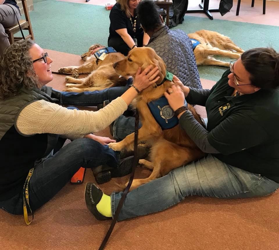 Comfort dogs from Lutheran Church Charities, in Illinois, met with staff on Monday, the day before before classes began at Great Mills High School. (Courtesy Lutheran Church Charities)