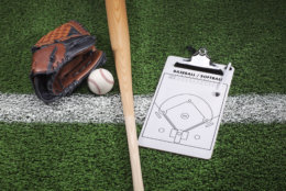 Baseball mitt, bat and coach's clipboard on grass with stripe