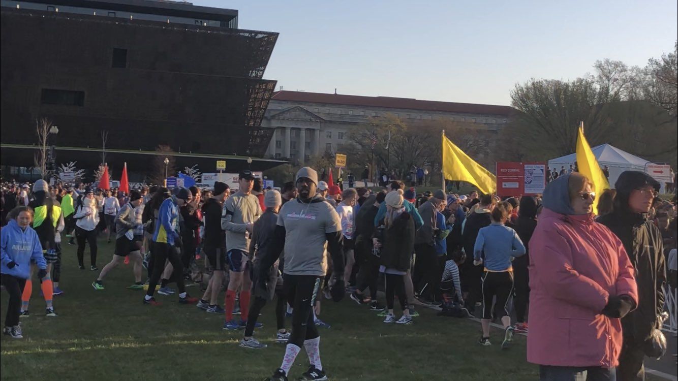  Crowds at the Credit Union Cherry Blossom Ten Mile Run. (WTOP/Melissa Howell)