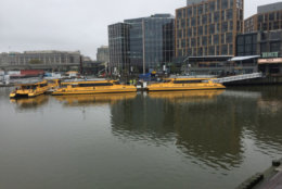 water taxi (WTOP/Kristi King)