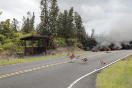 Lava approaches a city bus stop at the Leilani Estates, Saturday, May 5, 2018, in Pahoa, Hawaii. The Hawaiian Volcanoes Observatory said eight volcanic vents opened in the Big Island residential neighborhood of Leilani Estates since Thursday.  (AP Photo/Marco Garcia)