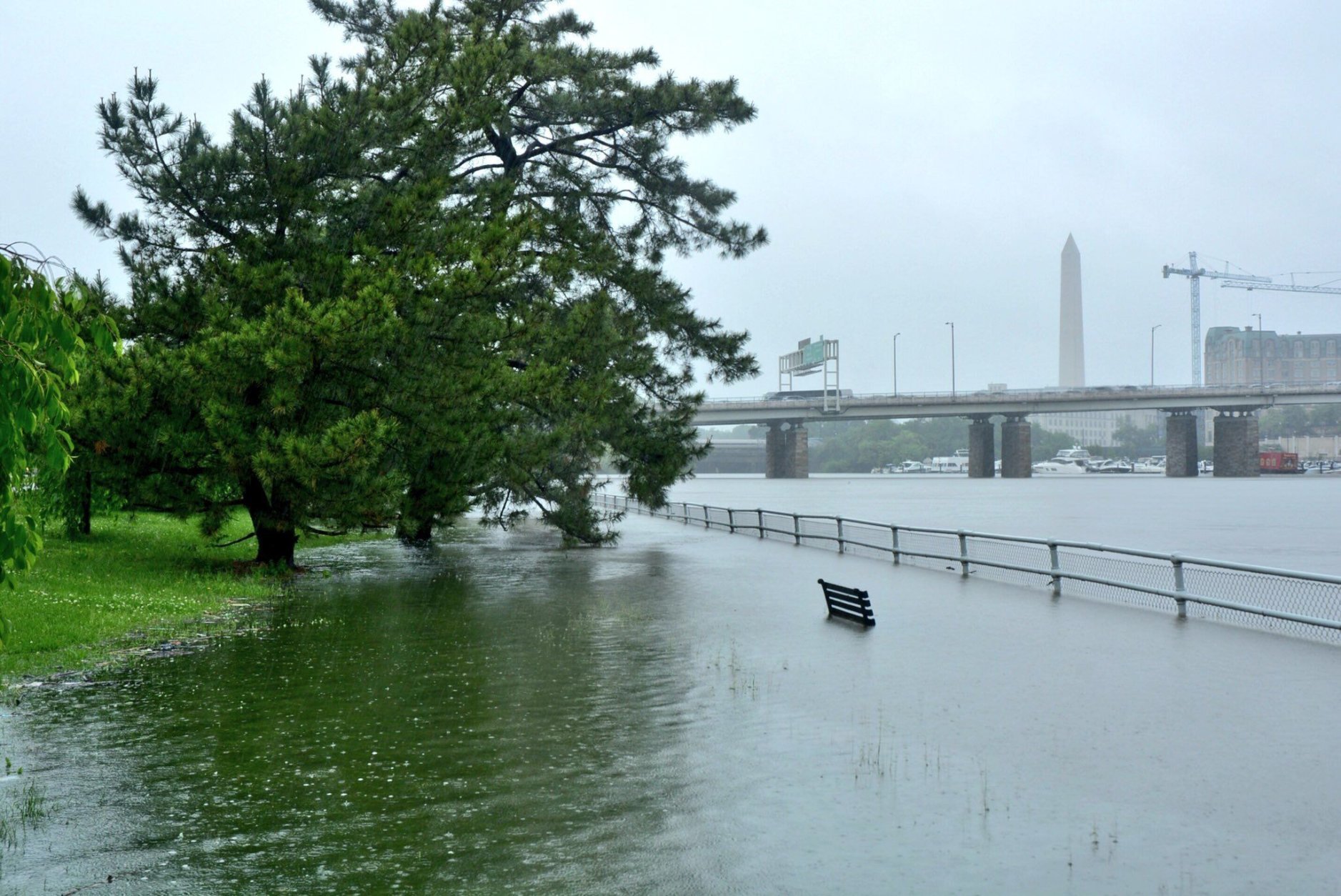 Floodwaters consume huge swaths of the Tidal Basin in Washington, Friday. (WTOP/Dave Dildine)