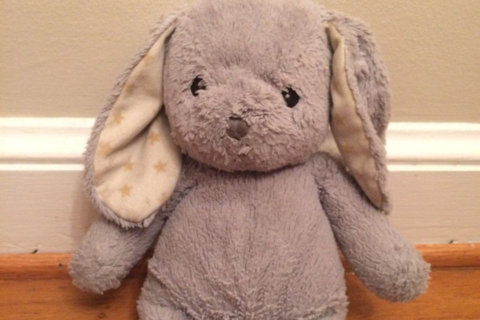 Arlington officials take lost plush bunny on adventures in search of its human