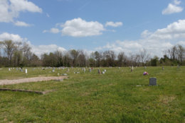 Evergreen Cemetery in April. (Photo credit: George Copeland Jr.)