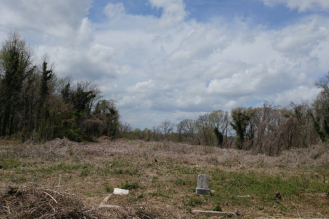 Meetings to focus on restoration of historic black cemetery