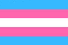 The transgender pride flag by Monica Helms.
