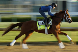 Kentucky Derby hopeful Vino Rosso trains at Churchill Downs Monday, April 30, 2018, in Louisville, Ky. The 144th running of the Kentucky Derby is scheduled for Saturday, May 5. (AP Photo/Charlie Riedel)