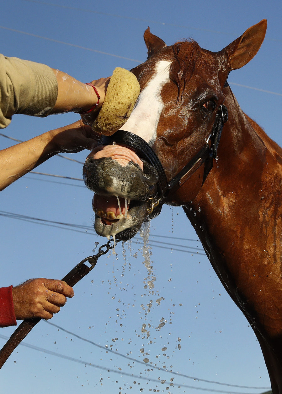 Kentucky Derby hopeful Justify gets a bath after a morning workout at Churchill Downs Tuesday, May 1, 2018, in Louisville, Ky. The 144th running of the Kentucky Derby is scheduled for Saturday, May 5. (AP Photo/Charlie Riedel)