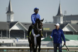 Kentucky Derby hopeful Enticed is led off the track after a morning workout at Churchill Downs Tuesday, May 1, 2018, in Louisville, Ky. The 144th running of the Kentucky Derby is scheduled for Saturday, May 5. (AP Photo/Charlie Riedel)