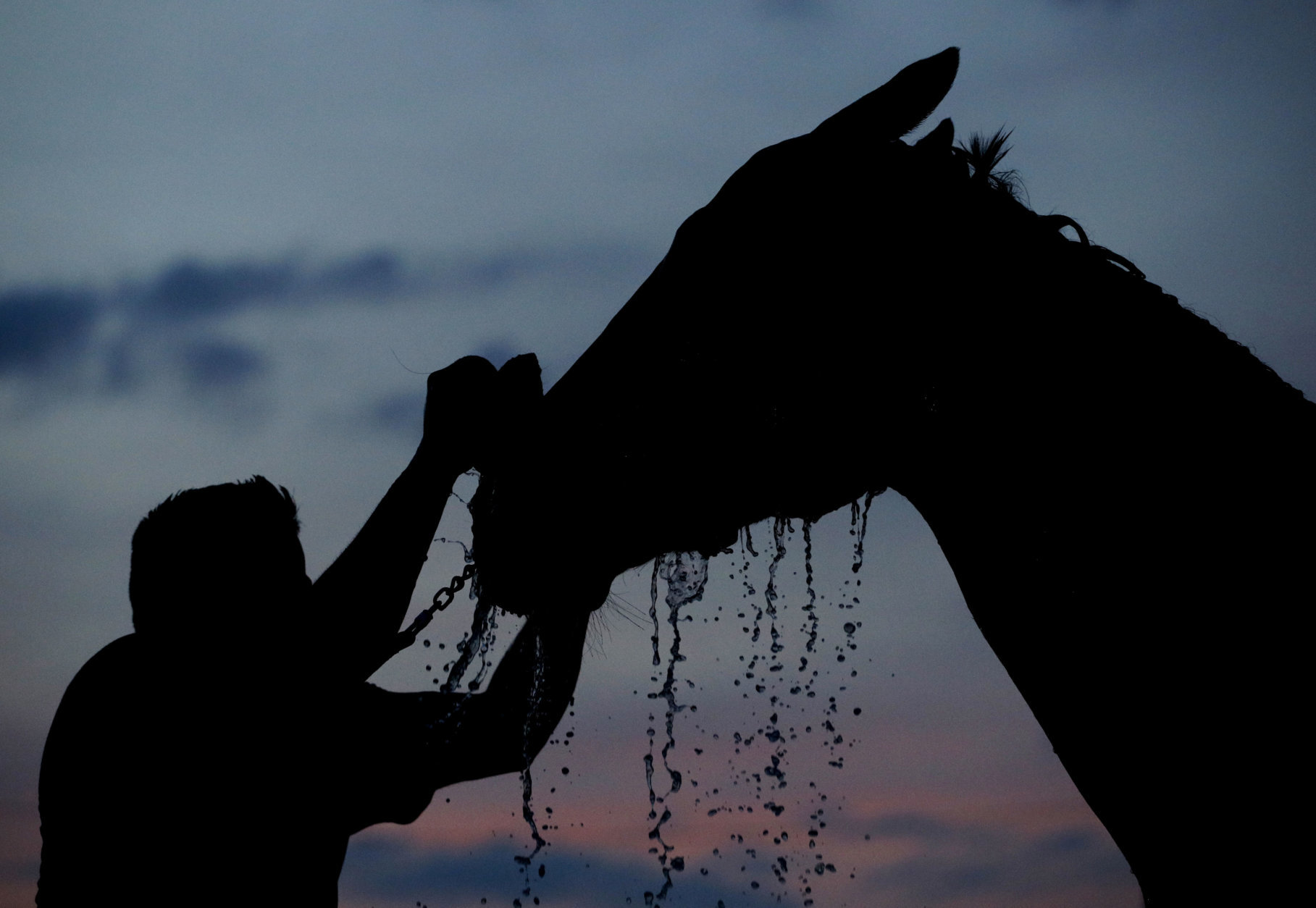 A horse gets a bath after a morning workout at Churchill Downs on Thursday, May 3, 2018, in Louisville, Ky. The 144th running of the Kentucky Derby is scheduled for Saturday, May 5. (AP Photo/Charlie Riedel