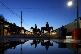 Horses make their way back to the barn after an early morning workout at Churchill Downs Monday, April 30, 2018, in Louisville, Ky. (AP Photo/Charlie Riedel, File)