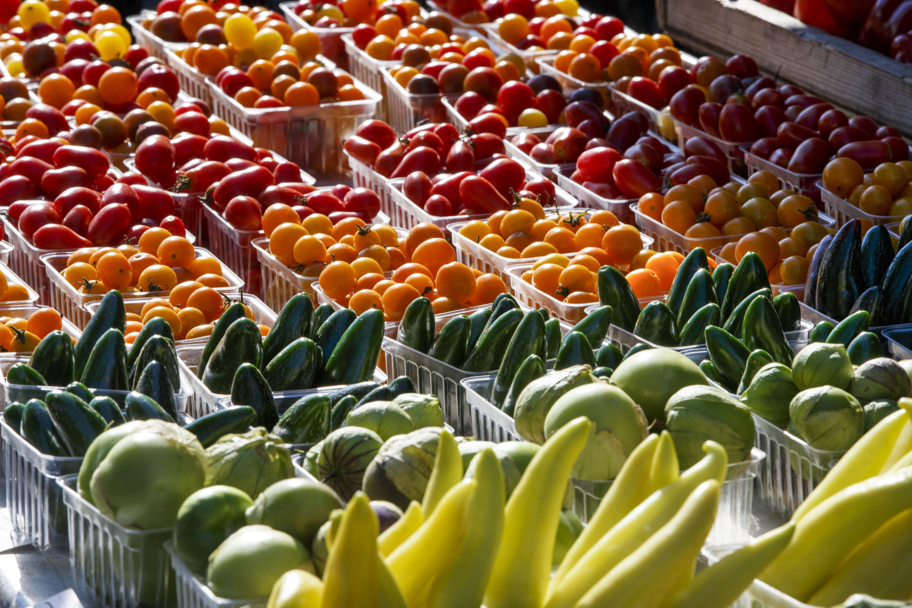 Fresh-picked tomatoes, cucumbers and other summer garden vegetables are displayed for sale at a farmers market in Falls Church, Va., Saturday, Aug. 8, 2015. (AP Photo/J. Scott Applewhite)