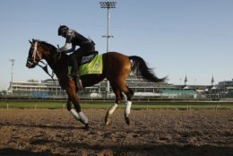 Kentucky Derby hopeful Audible runs during a morning workout at Churchill Downs Tuesday, May 1, 2018, in Louisville, Ky. The 144th running of the Kentucky Derby is scheduled for Saturday, May 5. (AP Photo/Charlie Riedel)