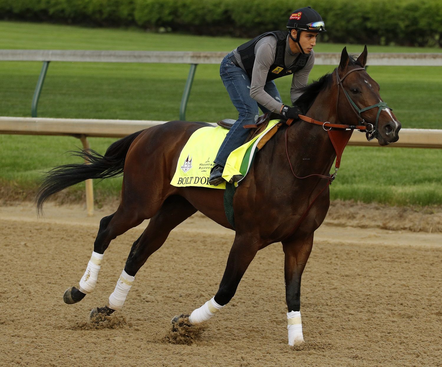 Kentucky Derby entrant Bolt d'Oro trains at Churchill Downs Thursday, May 3, 2018, in Louisville, Ky. The 144th running of the Kentucky Derby is scheduled for Saturday, May 5. (AP Photo/Charlie Riedel)