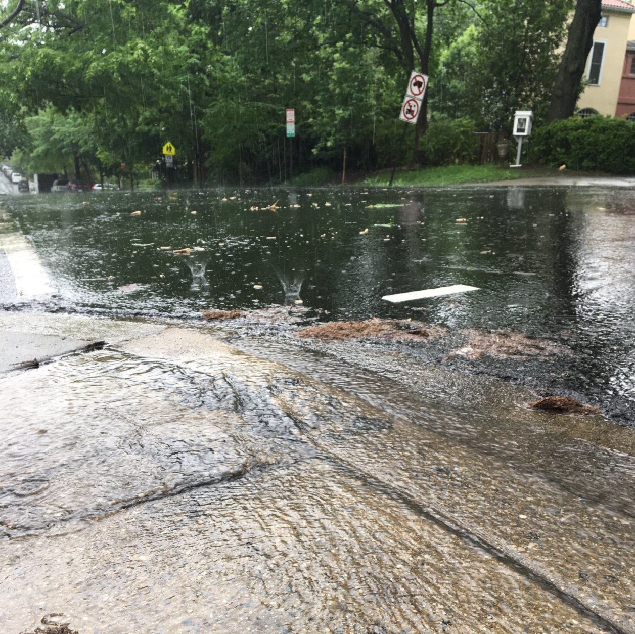 Rain coming down hard in D.C.’s Cleveland Park neighborhood. (WTOP/Sarah Beth Hensley)