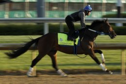 Kentucky Derby hopeful Combatant trains at Churchill Downs Monday, April 30, 2018, in Louisville, Ky. The 144th running of the Kentucky Derby is scheduled for Saturday, May 5. (AP Photo/Charlie Riedel)