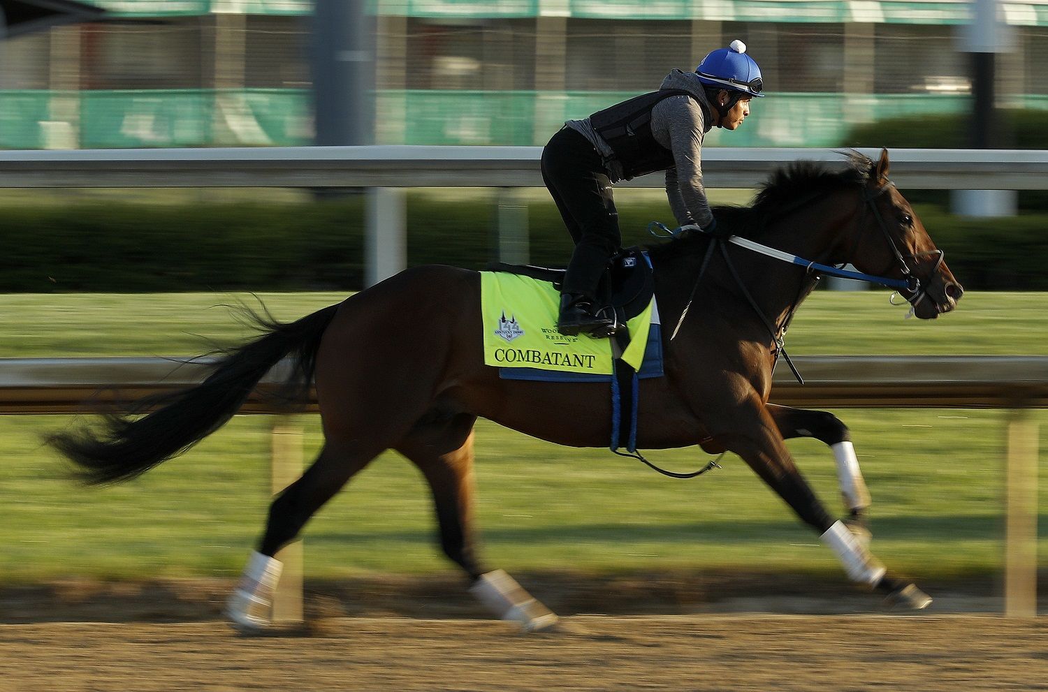 Kentucky Derby hopeful Combatant trains at Churchill Downs Monday, April 30, 2018, in Louisville, Ky. The 144th running of the Kentucky Derby is scheduled for Saturday, May 5. (AP Photo/Charlie Riedel)