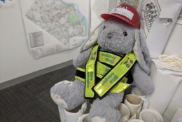 Three days later, and despite "tremendous" community support in the search, Arlington DES tweeted a photo of the bunny in protective gear in the county's GIS Mapping Center. (Photo courtesy of Arlington DES Twitter)