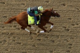 Kentucky Derby entrant Hofburg runs during a morning workout at Churchill Downs Wednesday, May 2, 2018, in Louisville, Ky. The 144th running of the Kentucky Derby is scheduled for Saturday, May 5. (AP Photo/Charlie Riedel)