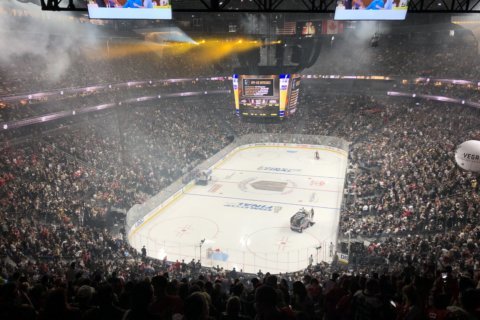 Las Vegas unites over hockey team after tragedy