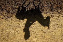 A horse and rider cast a shadow as they come off the track following a morning workout at Churchill Downs Tuesday, May 1, 2018, in Louisville, Ky. (AP Photo/Charlie Riedel, File)