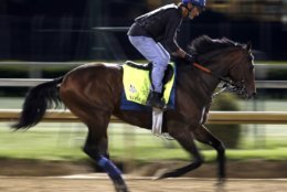 Kentucky Derby hopeful Lone Sailor trains at Churchill Downs Monday, April 30, 2018, in Louisville, Ky. The 144th running of the Kentucky Derby is scheduled for Saturday, May 5. (AP Photo/Charlie Riedel)
