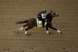 Kentucky Derby entrant Magnum Moon runs during a morning workout at Churchill Downs Wednesday, May 2, 2018, in Louisville, Ky. The 144th running of the Kentucky Derby is scheduled for Saturday, May 5. (AP Photo/Charlie Riedel)